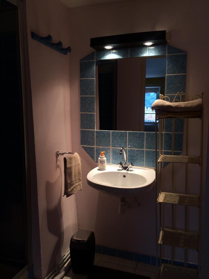 Castillon-en-Couserans Au Detour Du Larrech Bed & Breakfast エクステリア 写真